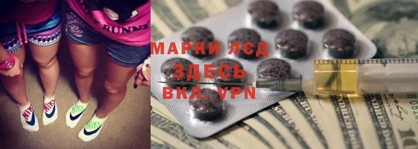 гидра Алзамай