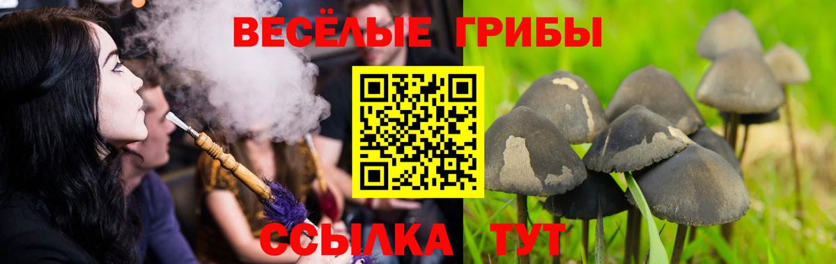 Лсд 25 Михайловск