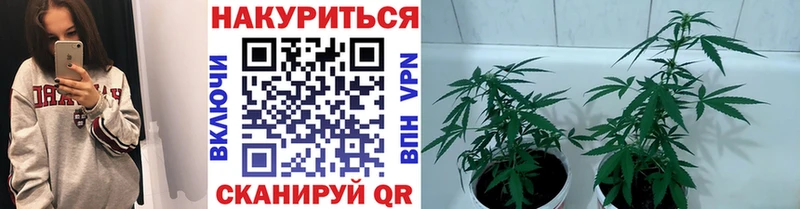ссылка на мегу tor  как найти закладки  Михайловск  Шишки марихуана SATIVA & INDICA 
